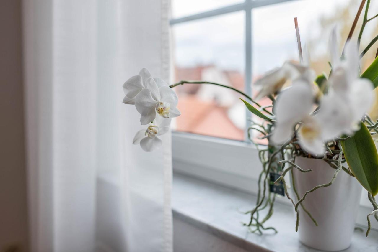 Apartement Aposto 3 Oberderdingen エクステリア 写真